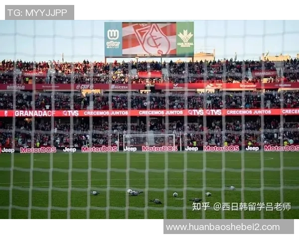 格拉纳达与毕尔巴鄂竞技的激烈对决揭示西甲新赛季的精彩走势