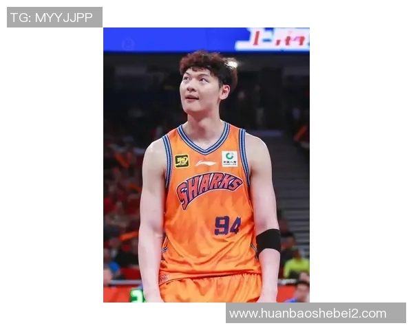 王哲林领衔中国男篮新一代崛起之路展望与挑战