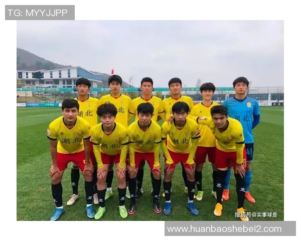 武汉足球队比赛经验分享与成长之路的深度探讨