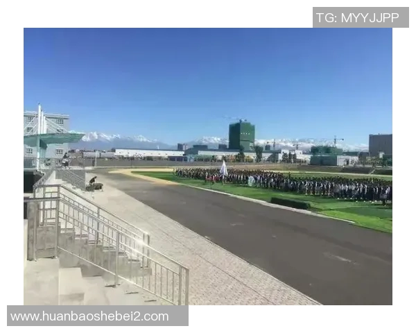 乒乓球场上的追梦旅程：王娜的成长与坚持故事